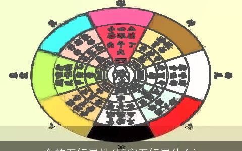 合的五行属性(梓字五行属什么)