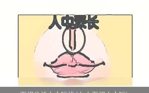 面相分析人中短浅(女人面相人中短)