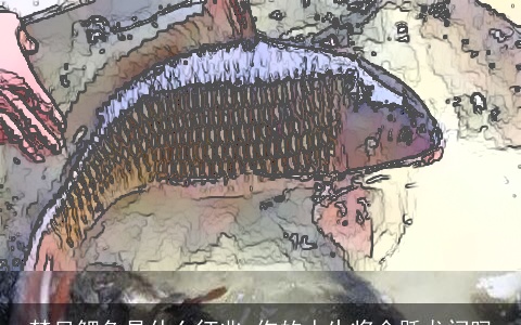 梦见鲤鱼是什么征兆 你的人生将会跃龙门吗