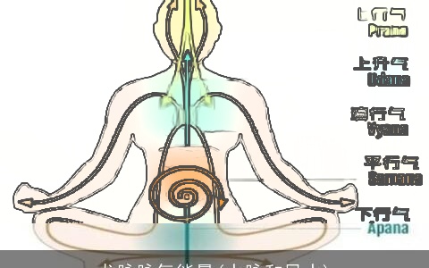 龙脉脉气能量(水脉和风水)