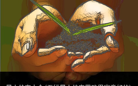 属土的字大全(五行属土的字男孩用寓意好的)