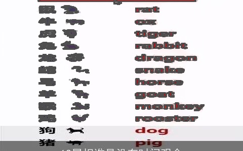 12属相谁最没有时间观念