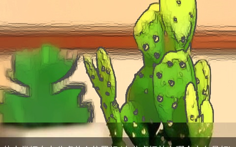 仙人掌摆在办公桌什么位置好(办公桌摆放在哪个方向最好)