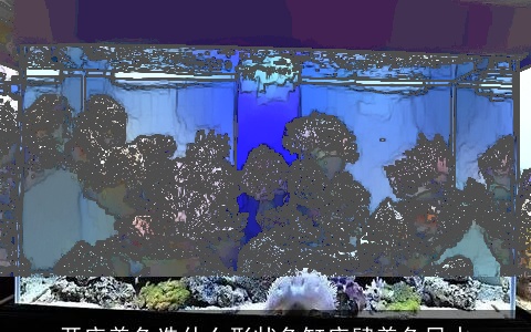 开店养鱼选什么形状鱼缸店肆养鱼风水