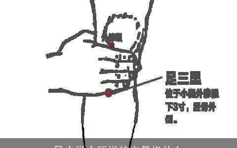 风水学中所说的穴是指什么