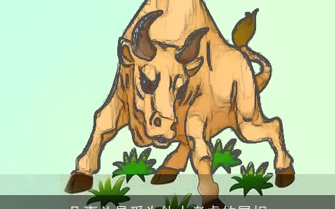 凡事总是爱为他人考虑的属相