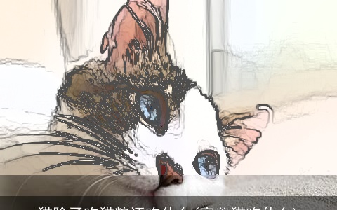 猫除了吃猫粮还吃什么(家养猫吃什么)