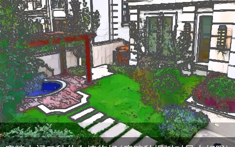 庭院大门口种什么植物好(庭院种枫树对风水好吗)