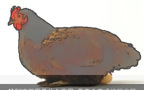 梦到鸡下蛋是什么意思 是事业有成的预兆吗