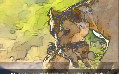 狮子月，记住对身边的狮子座好一点哦！