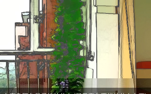 东南角阳台最忌讳放什么(屋里窗台不能放什么东西)