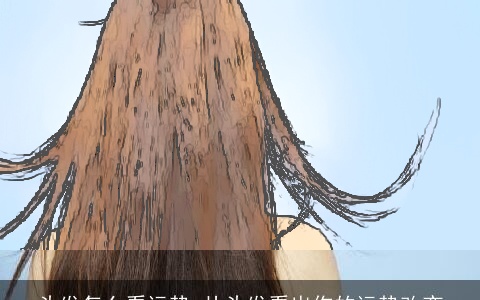 头发怎么看运势 从头发看出你的运势改变