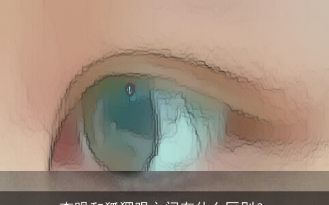 杏眼和狐狸眼之间有什么区别？