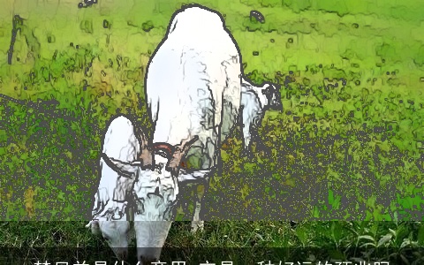 梦见羊是什么意思 它是一种好运的预兆吗