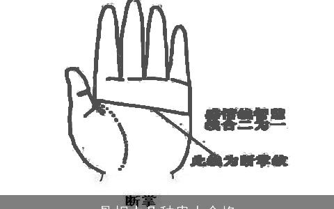 骨相中几种贵人命格