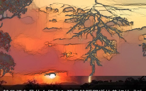 梦见闪电是什么征兆？预示转瞬即逝的美好的成功