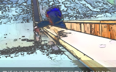 带桥的公司名字有哪些(好听的带桥女孩的名字)