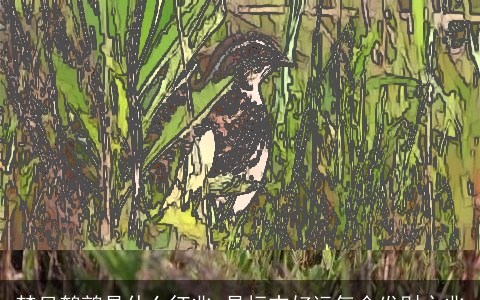 梦见鹌鹑是什么征兆 是标志好运气会发财之兆