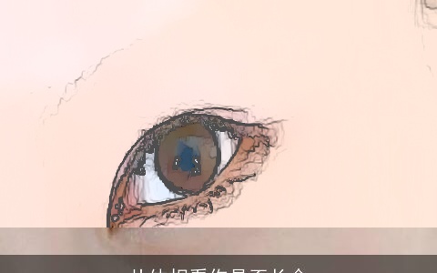 从体相看你是否长命