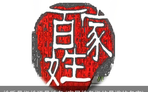 姓氏是指姓还是姓名(家属姓名指的是谁的名字)