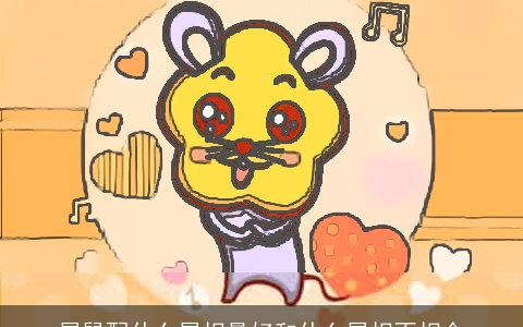 属鼠配什么属相最好和什么属相不相合