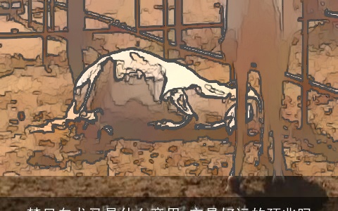 梦见白龙马是什么意思 它是好运的预兆吗