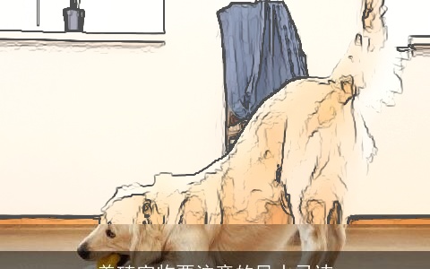 养殖宠物要注意的风水忌讳