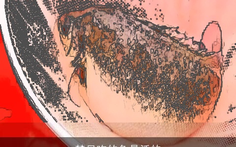 梦见吃的鱼是活的