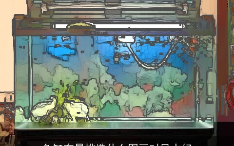 鱼缸布景挑选什么图画对风水好