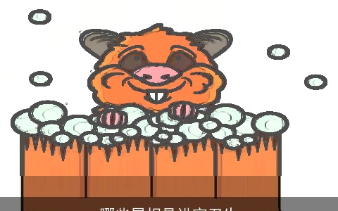 哪些属相最讲究卫生