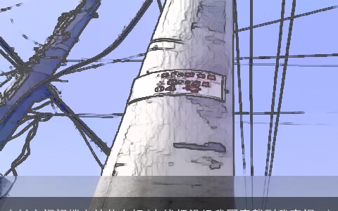 农村大门门楼上放什么好(电线杆没经我同意载到我家门口)