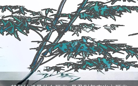 梦见竹子是什么预兆 是乃财气杰出之预兆