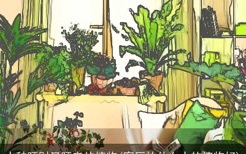 十种旺财又旺宅的植物(客厅放什么大的植物好)