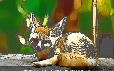 狐狸眼是什么狐狸眼面相解读