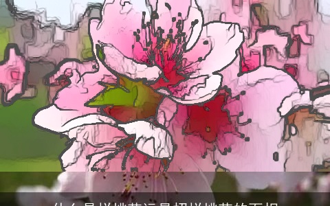 什么是烂桃花运最招烂桃花的面相