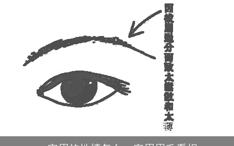 一字眉的性情怎么一字眉眉毛看相