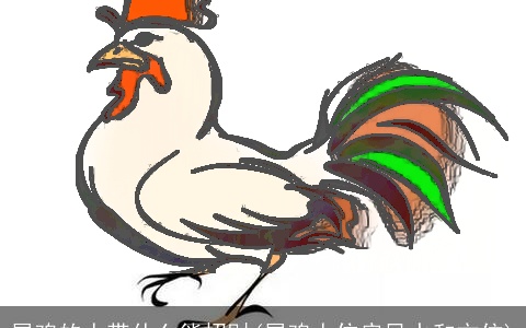 属鸡的人带什么能招财(属鸡人住房风水和方位)