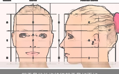 朝天鼻的性格特征朝天鼻好不好