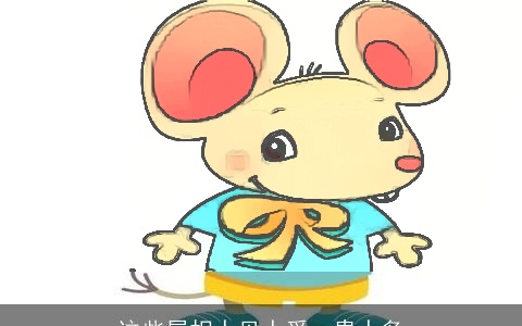 这些属相人见人爱，贵人多