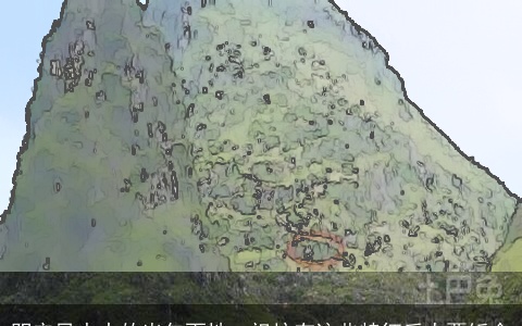 阴宅风水中的出乞丐地、祖坟有这些特征后人要饭命