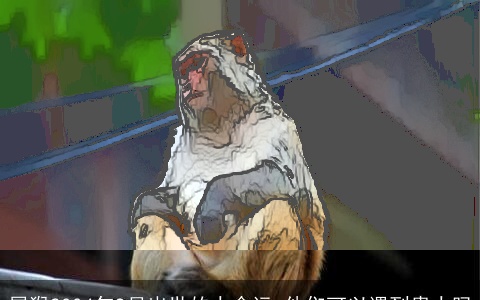 属猴2004年9月出世的人命运 他们可以遇到贵人吗