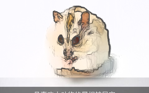 最喜欢小动物的属相铲屎官