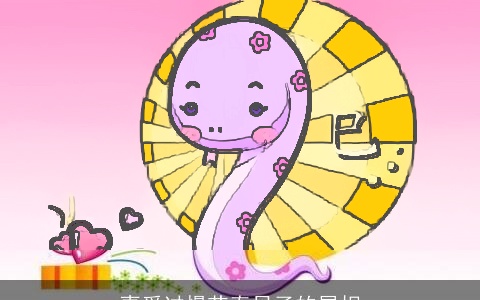 喜爱过慢节奏日子的属相