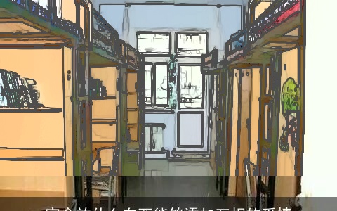 宿舍放什么东西能够添加互相的爱情