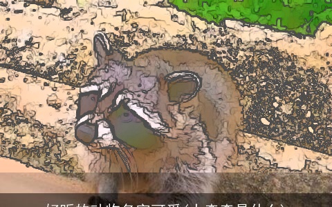 好听的动物名字可爱(大森森是什么)