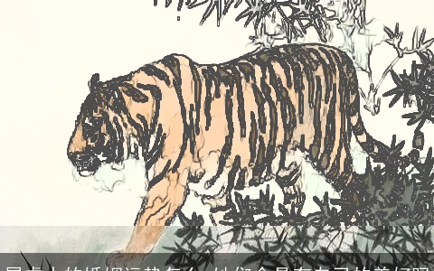 属虎人的婚姻运势怎么 她们会具有自己的美好吗