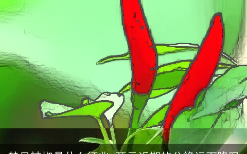 梦见辣椒是什么征兆 预示近期的分缘运下降吗