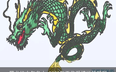 属龙的本年多大 2022年工作爱情运势旺吗