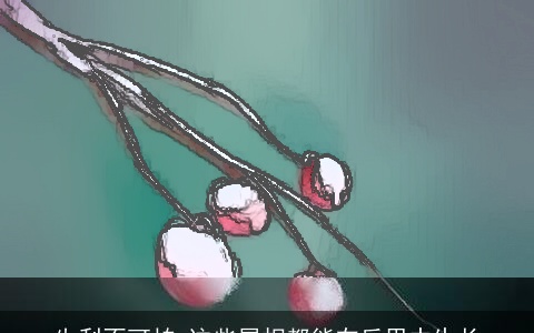 失利不可怕,这些属相都能在反思中生长