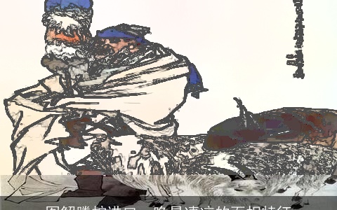 图解腾蛇进口，晚景凄凉的面相特征